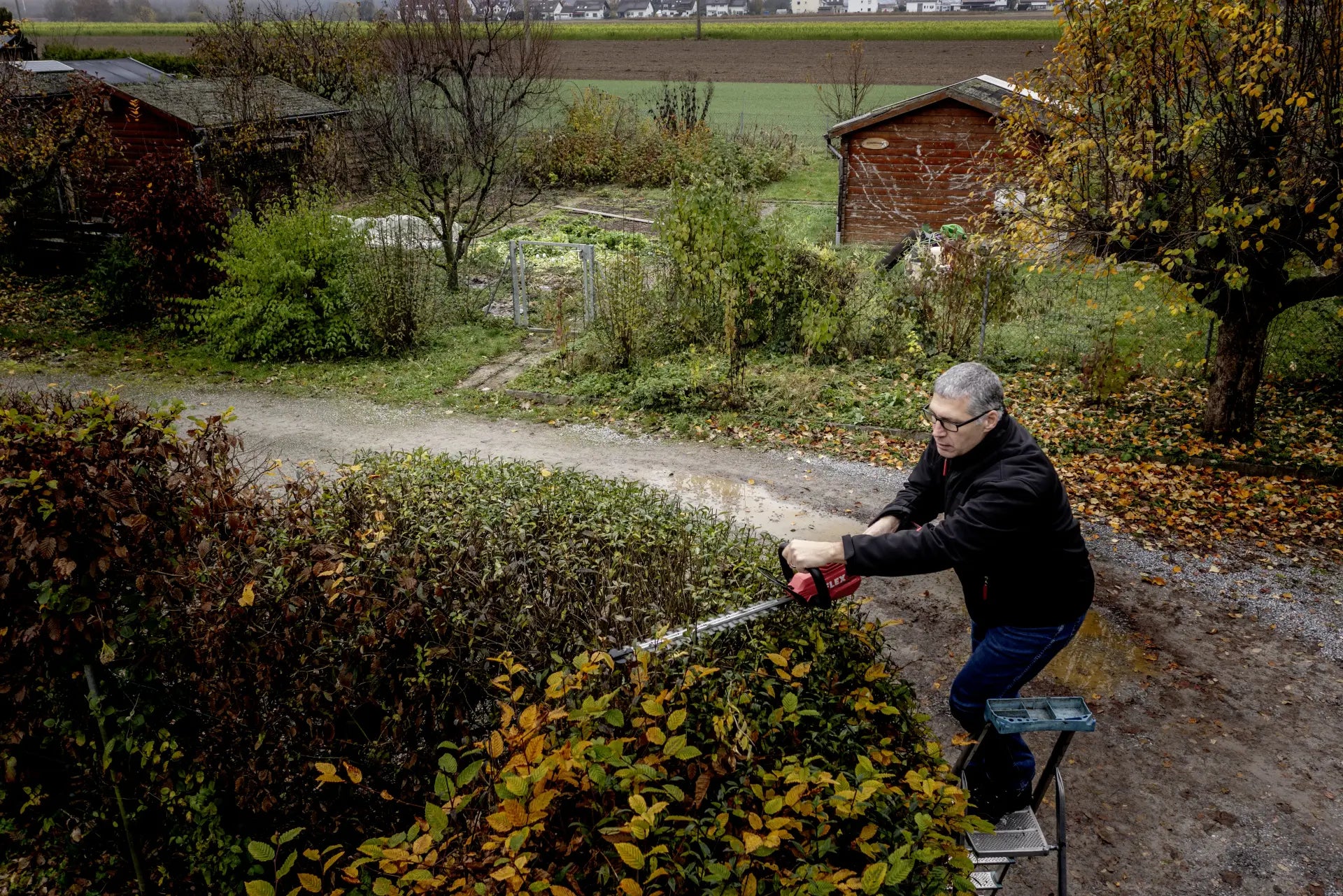 Akumulatorske Makaze za Živu Ogradu GHT 55 18-EC